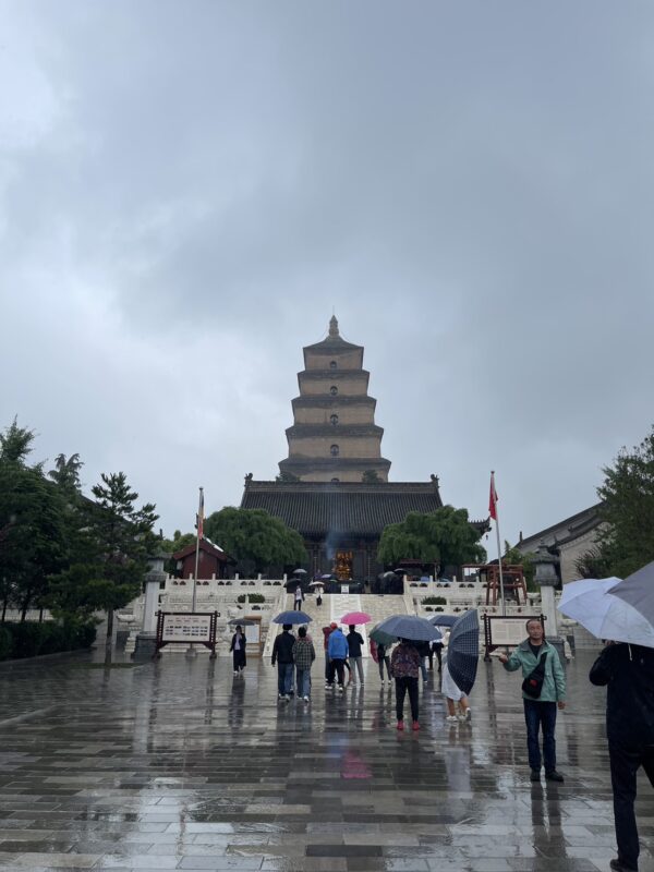 351464262_959162005286419_2822130634606627927_n