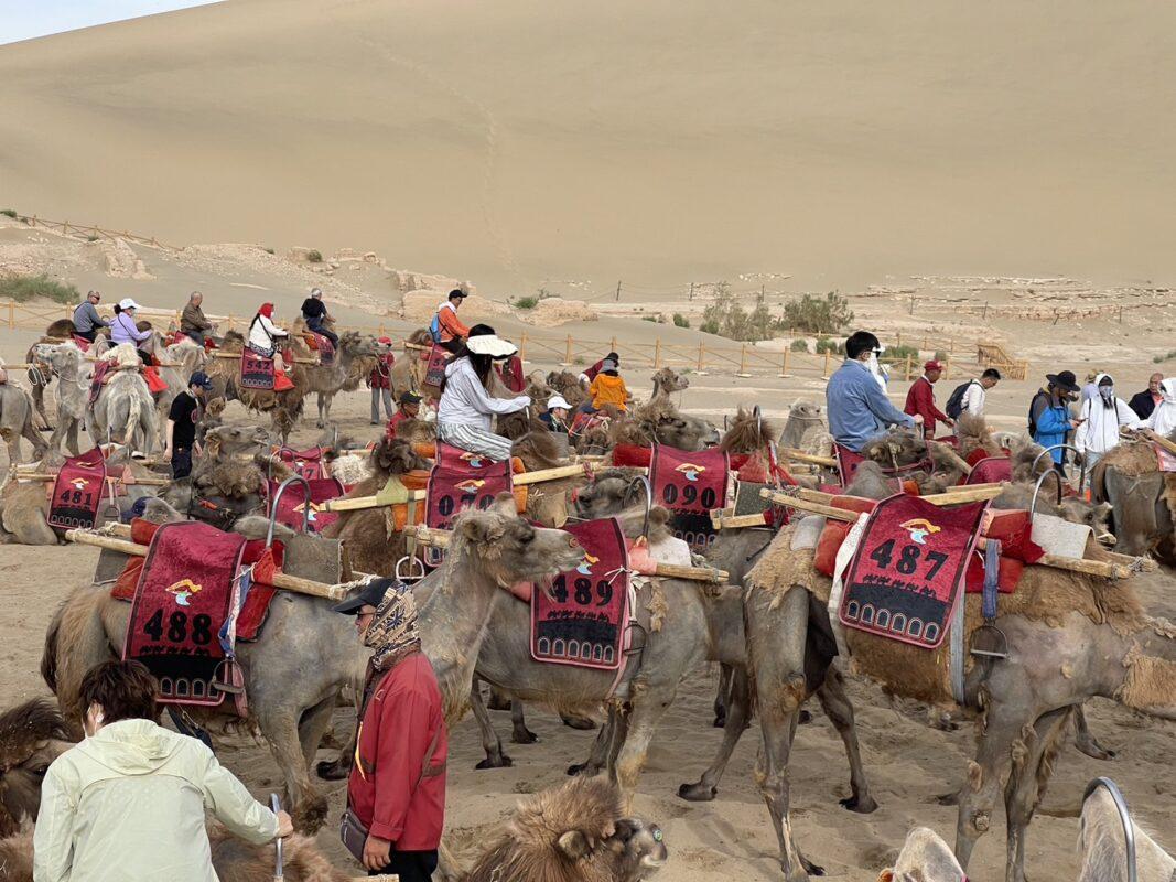 352409696_713079450618487_6896144245367612867_n