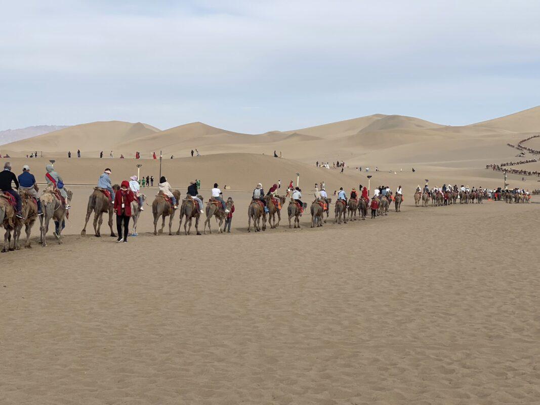 352804462_713079853951780_2324545329097269956_n